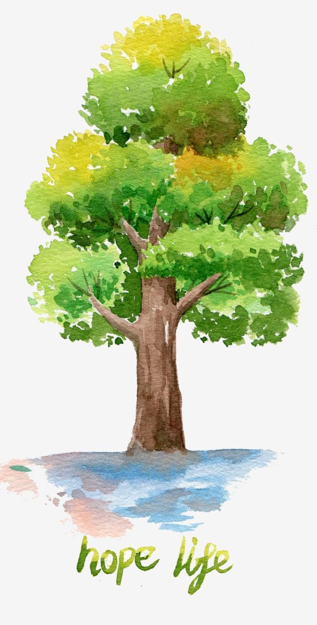 a watercolor painting of a tree with the words hope life on it's side