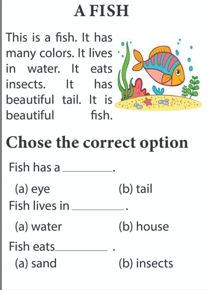 A fish . Read  and choose the correct answer . easy reading worksheet Easy Comprehension Worksheets, Easy Reading Passages For Kindergarten, Easy Reading Worksheets, Read And Answer Worksheet, Grade 2 Worksheets English, Class 1 English Worksheets, Fish Worksheet, Phonics Reading Passages, Reading Comprehension Practice