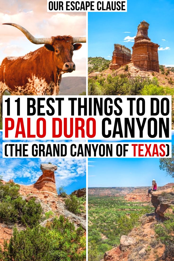 the best things to do in palo duro canyon