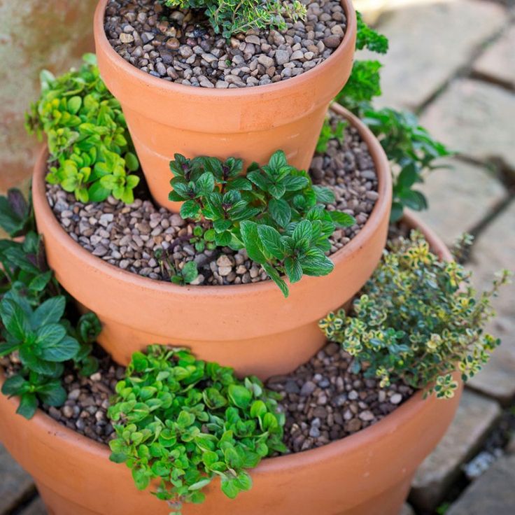 three tiered planters filled with different types of plants