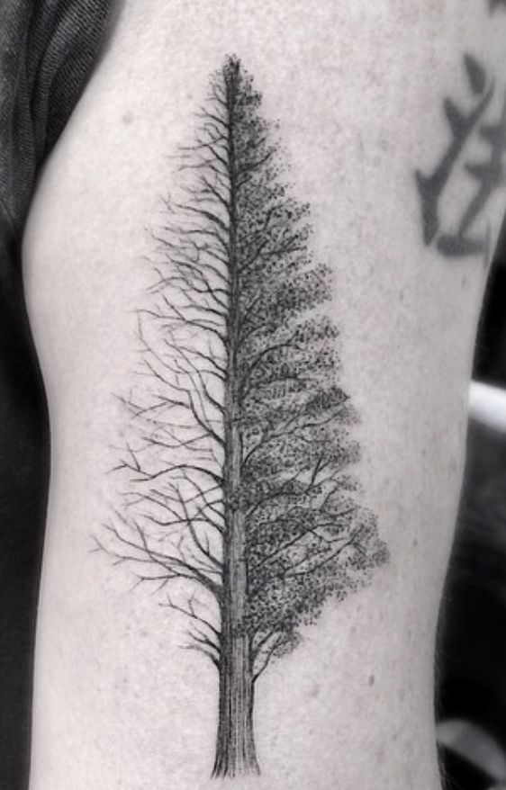 a black and white photo of a tree tattoo on the left upper half of the arm