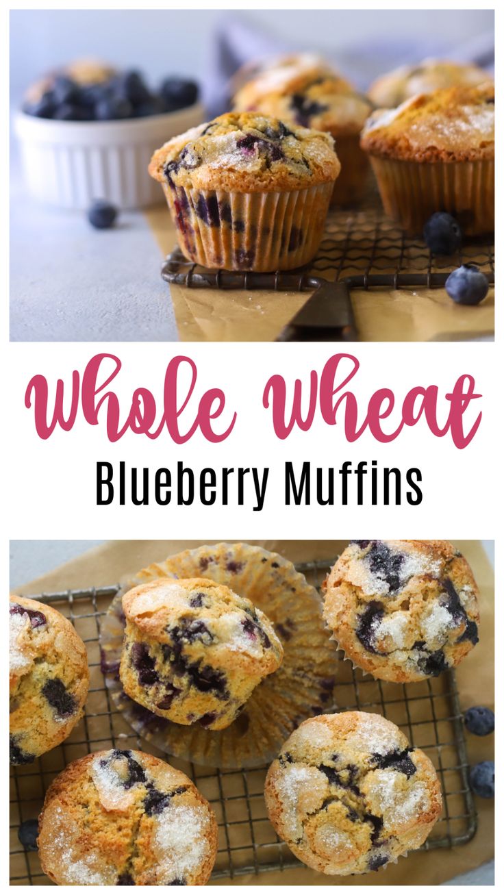 blueberry muffins on a cooling rack with the words, whole wheat blueberry muffins