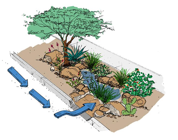 an image of a garden with rocks and plants in the ground, water flowing down it