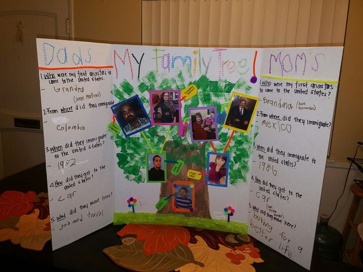 a family tree made out of paper with pictures on it