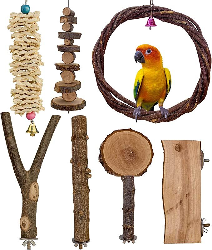 a bird sitting on top of a tree branch next to various types of wood items