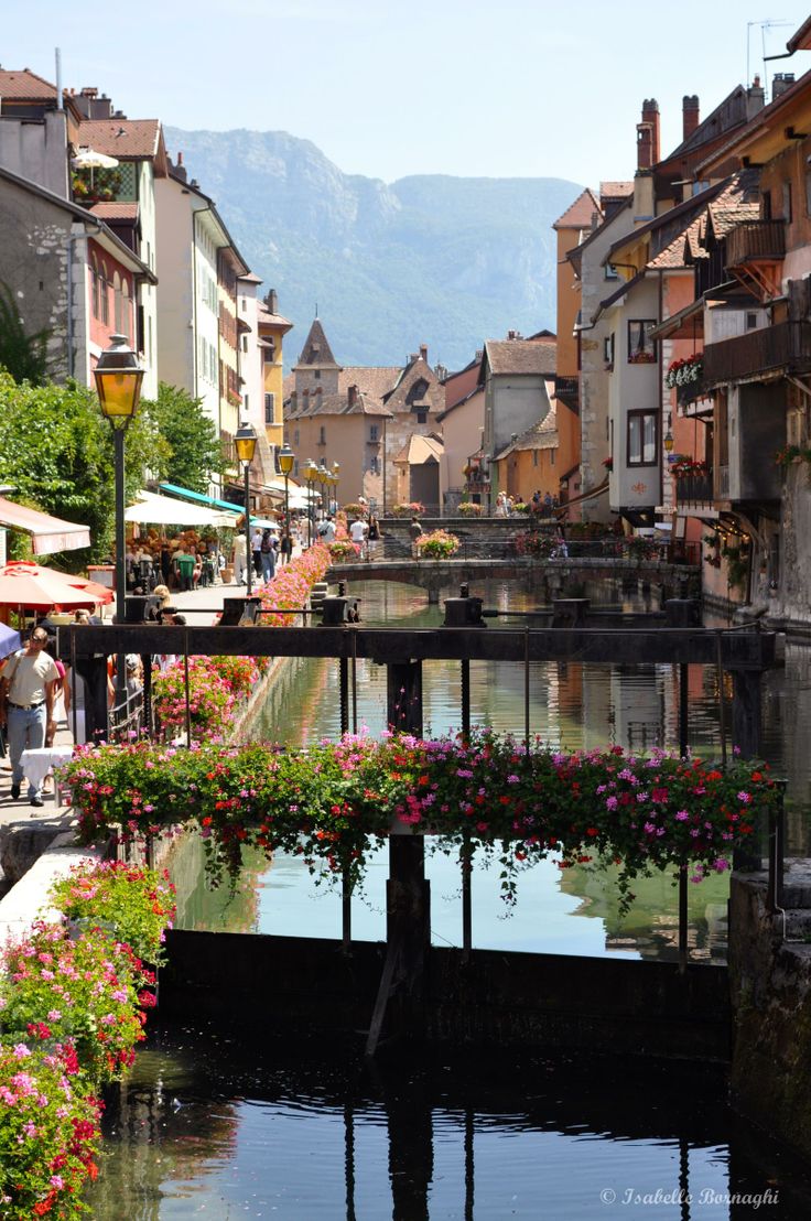 a river running through a small town with lots of flowers growing on the side of it