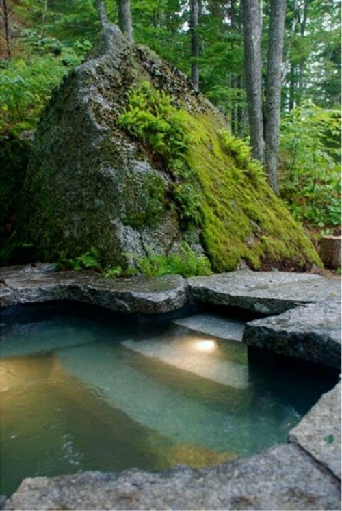 a small pool in the middle of a forest with rocks and moss growing on it