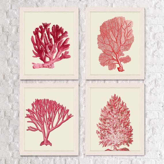 four red sea corals are displayed on a white brick wall in three different frames