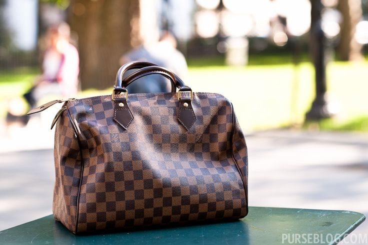 LV Damier Speedy Lv Damier Ebene, Lv Damier, Diy Travel Bag, Lv Purse, Louis Vuitton Speedy 30, Speedy 30, Lv Handbags, Handbag Outlet, Louis Vuitton Damier Ebene