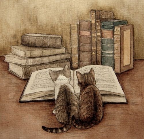 two cats sitting on top of an open book next to bookshelves and stacks of books