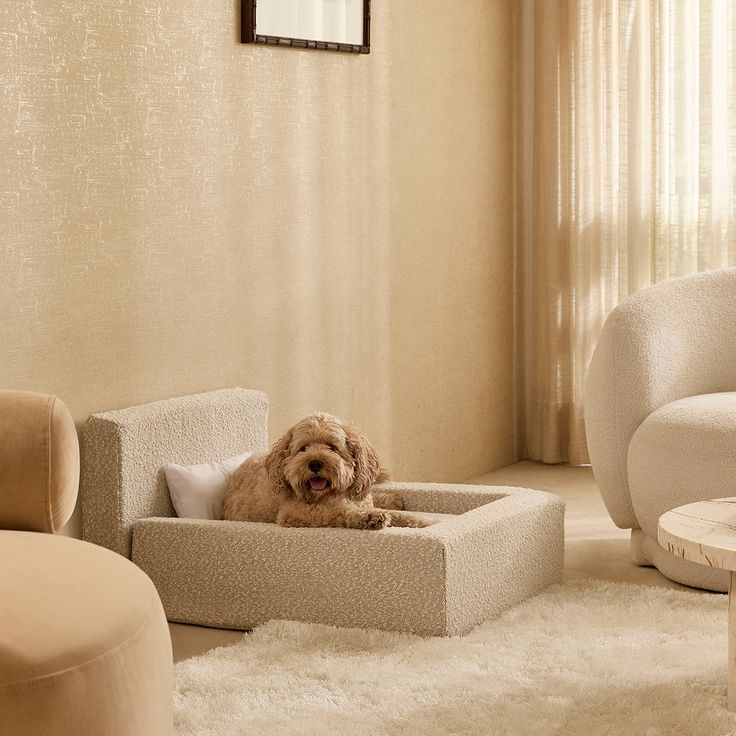 a dog is laying in his bed on the carpet