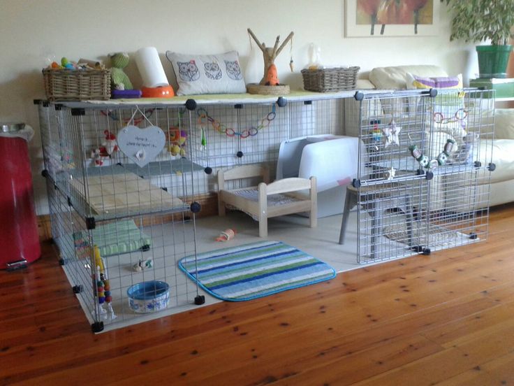 a living room filled with lots of caged animals