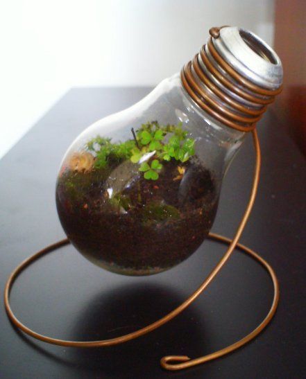 a light bulb filled with plants sitting on top of a table