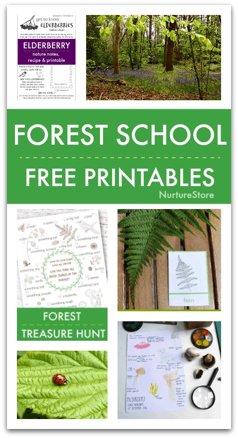 the forest school free printables is shown with pictures of trees, leaves and other things