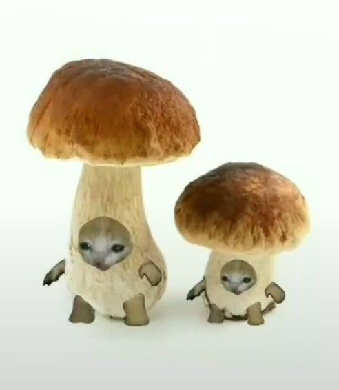 two small stuffed animals standing next to each other in front of mushrooms on a white background