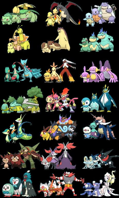 the different types of pokemons that are featured in this video game, which shows them all