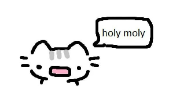 Cat Doodles, Goofy Drawing, Cat Drawings, Cat Doodle, Roly Poly, Silly Cats Pictures, Cat Meme, Holy Moly, Little Doodles