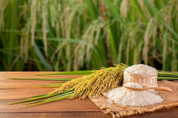 wheat and rice on a wooden table with green grass in the background