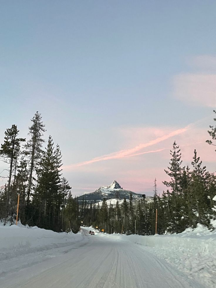 a person riding skis down a snow covered road next to pine trees and mountains