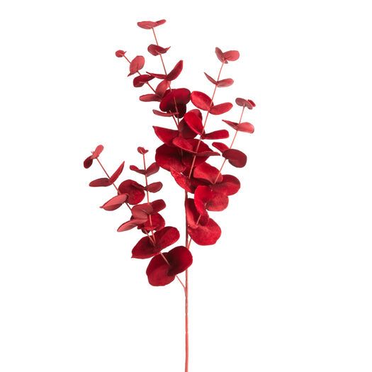 red flowers are in a vase on a white background