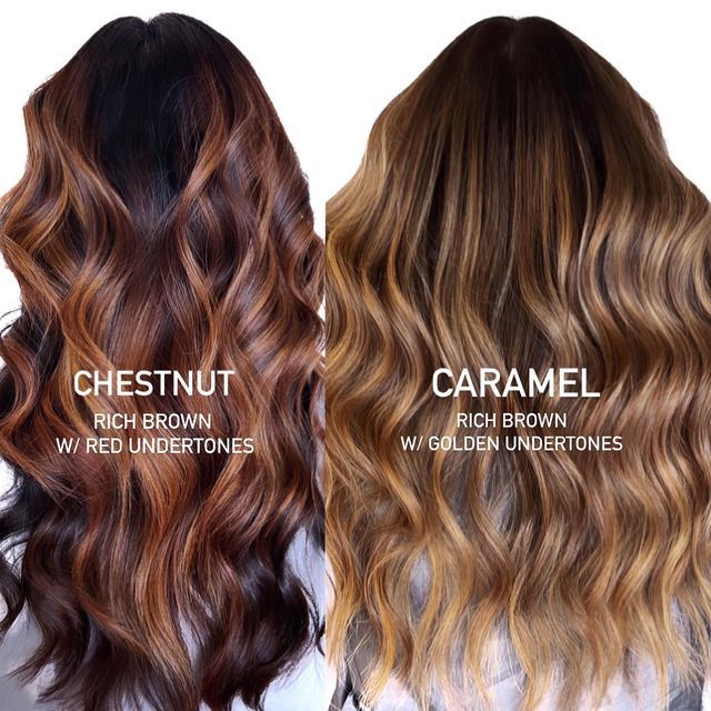 Red And Chestnut Hair, Golden Brown Hair With Red Highlights, Brown Honey Hair Balayage, Brunette Balayage Hair Cinnamon, Auburn Chestnut Balayage, Fall Brunette Hair Color Balayage 2023, Cinnamon Brown Hair Color Balayage, Fall Ombre Hair Brunette Caramel, Balayage Hair Copper Brown