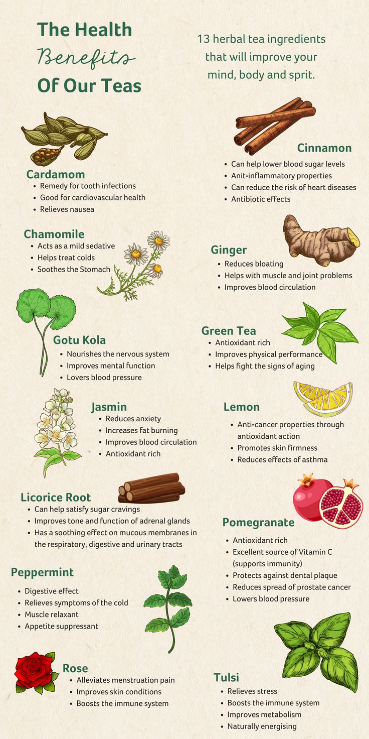 Tea As Medicine, Medicinal Teas Recipes, Herbal Tea For Health, Healthy Herbal Teas, Eucalyptus Tea Benefits, Herbal Teas And Their Benefits, Tea Add Ins, Herbal Tea Aesthetic, Nutrient Food