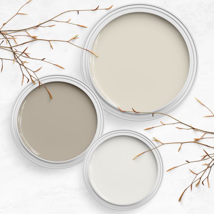 three white paint cans sitting on top of a table next to some dry grass and twig