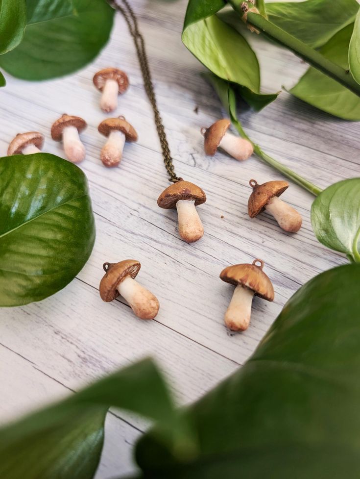 small mushrooms on a wooden table surrounded by leaves and greenery, with a chain hanging from the middle