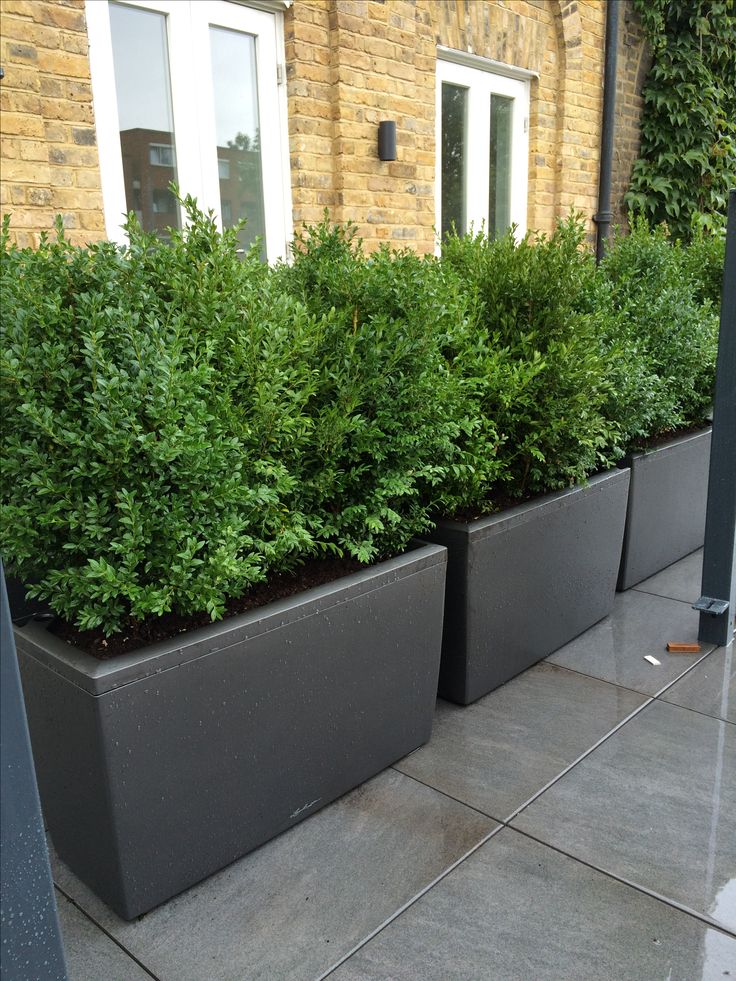 two large planters are sitting on the sidewalk