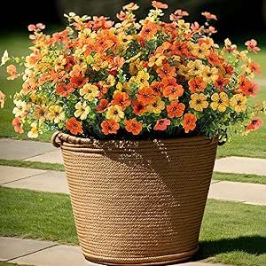 an orange and yellow flower in a large pot on the ground near some green grass