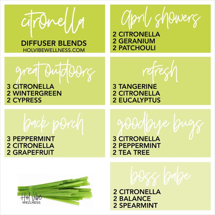 Citronella Diffuser Blend, Citronella Essential Oil Blends, Young Living Diffuser Recipes, Eo Blends, Doterra Diffuser, Citronella Essential Oil, Essential Oil Diffuser Blends Recipes, Yl Oils, Spearmint Essential Oil