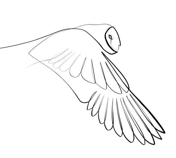 a bird flying in the sky with its wings spread