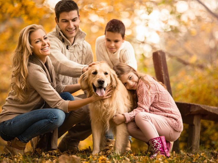 a family with their dog in the park