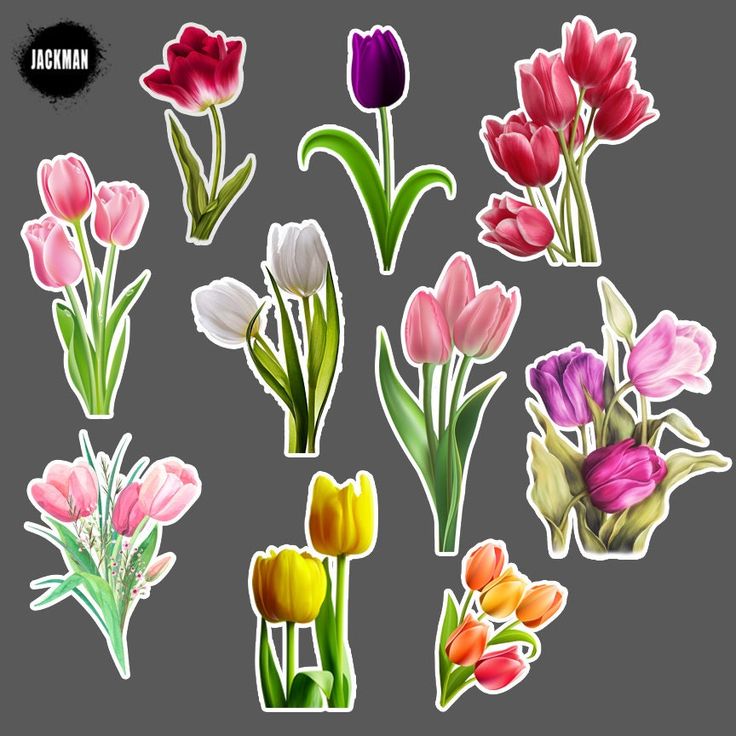 a bunch of flowers that are in the shape of stickers