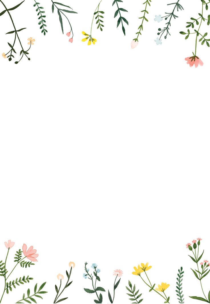 flowers and leaves are arranged in the shape of a rectangle on a white background