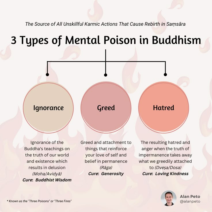 the three types of mental prison in buddhaism infographical poster on white background