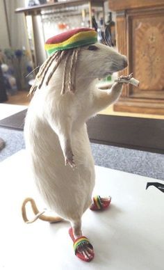 a stuffed rat is standing on its hind legs and holding a piece of food in it's mouth