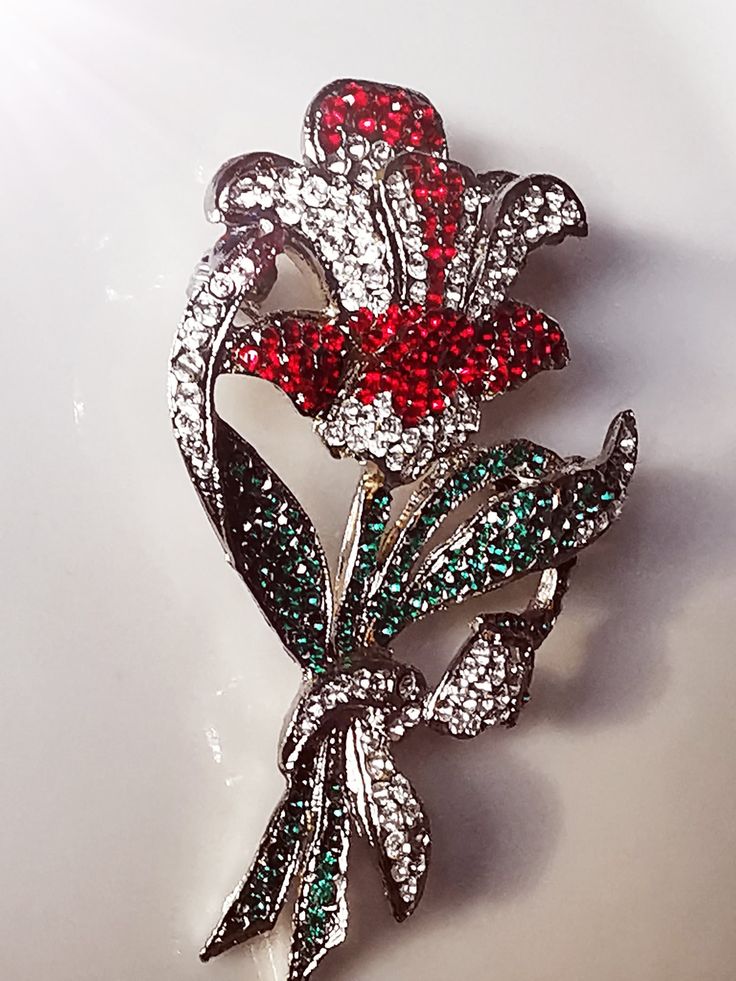 Beautiful vintage brooch from Dolce & Gabbana, D&G With colorful Swarovski crystals in red and green Origin: Italy Italy Very good used condition Easy-care Brooch Vintage, Vintage Brooch, Elegant Accessories, Dolce & Gabbana, Vintage Brooches, Red Green, Brooches, Swarovski Crystals, Vintage Jewelry