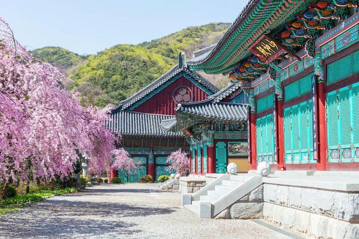 Korean Architecture, Ancient Korea, Gyeongbokgung Palace, Living In Korea, Cherry Blossom Japan, Malaysia Airlines, Asian Architecture, Natural Heritage, Water Bodies