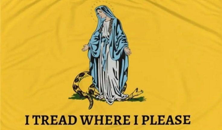 the flag of the state of new jersey with an image of mary magdalene holding a snake