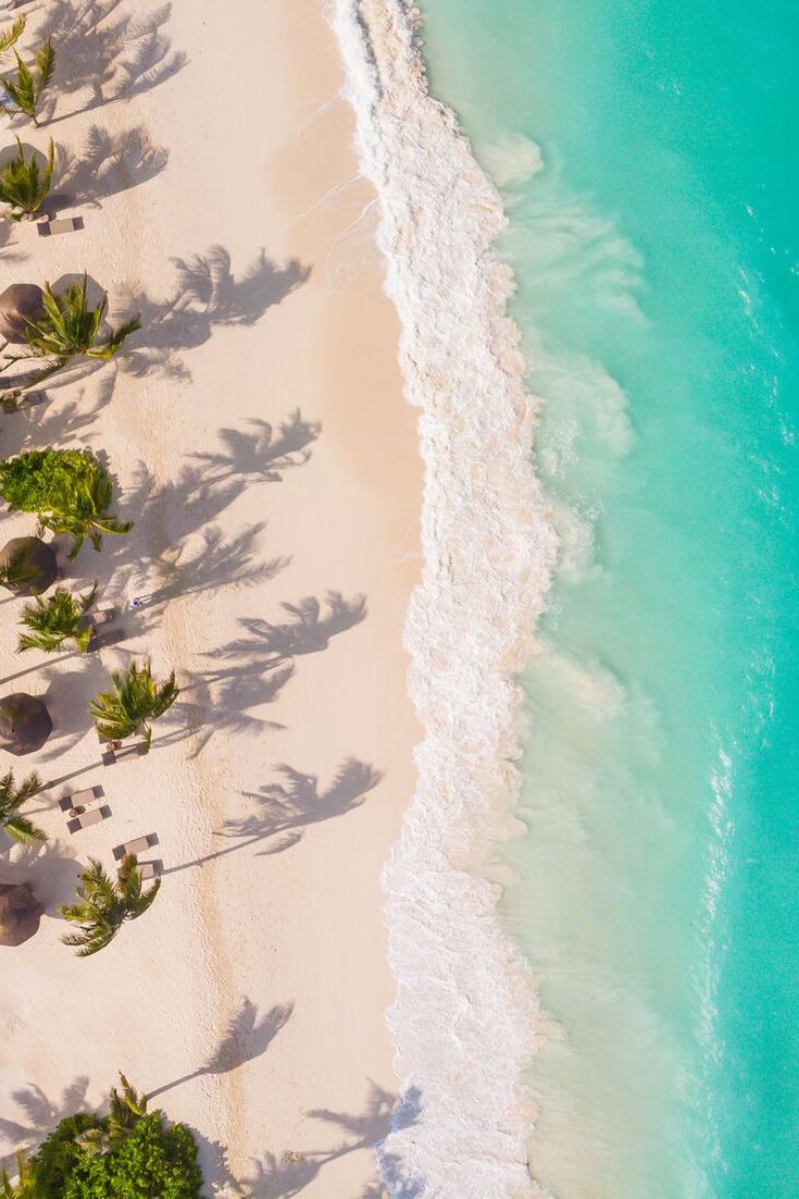 an aerial view of the beach with palm trees