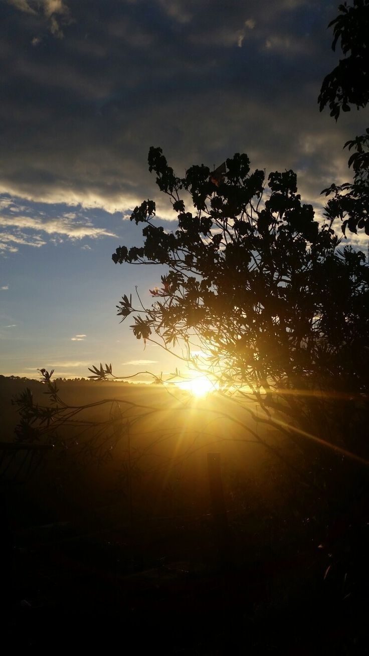 the sun is setting behind some trees