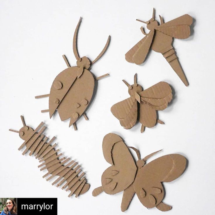 four pieces of cardboard cut out to look like insects