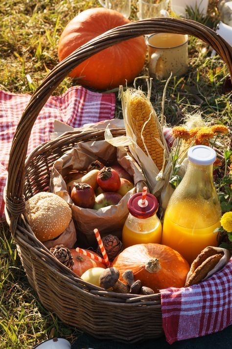 a basket filled with food sitting on top of a field next to pumpkins and corn