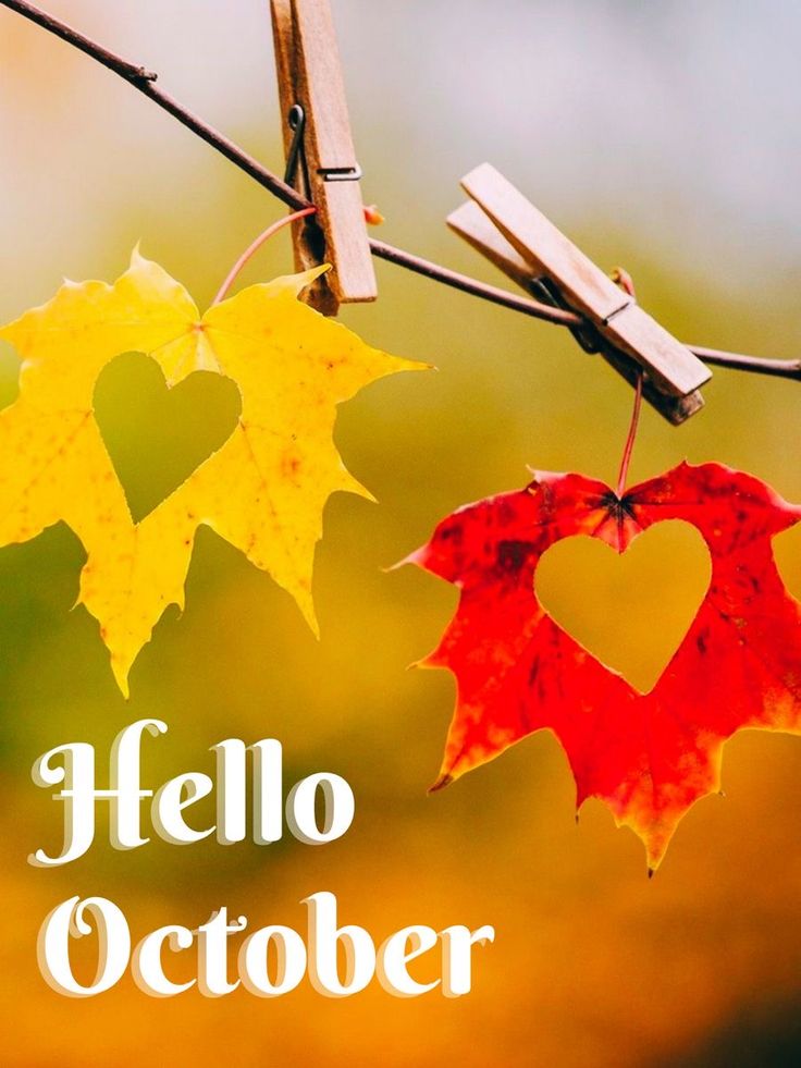 two autumn leaves hanging from a wire with the words hello october written on it and an orange heart in the middle