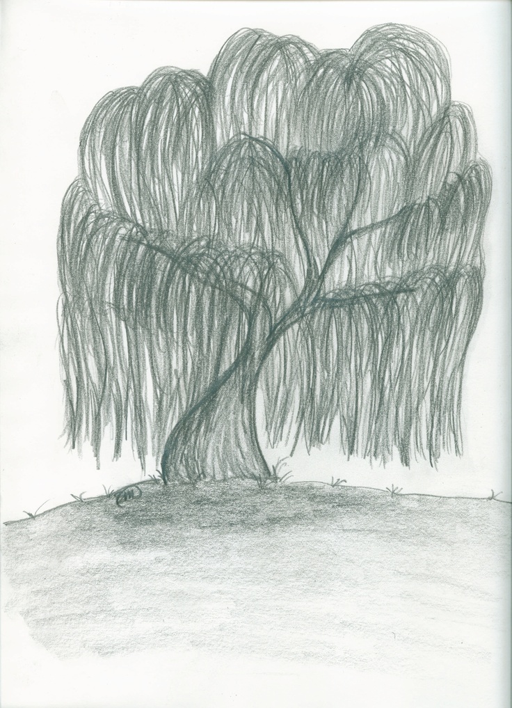 a pencil drawing of a tree on a hill