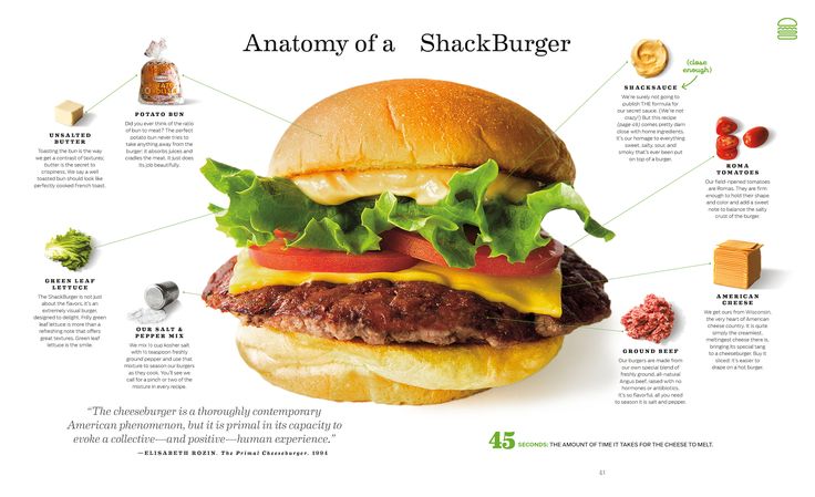 the anatomy of a hamburger with all its ingredients