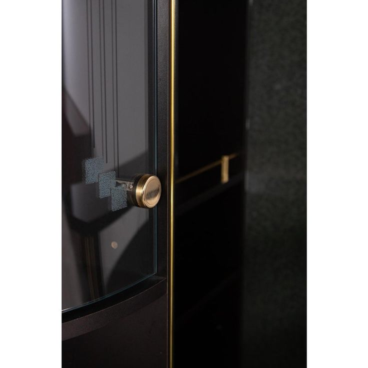 the door is black and gold with a handle on it's glass front panel