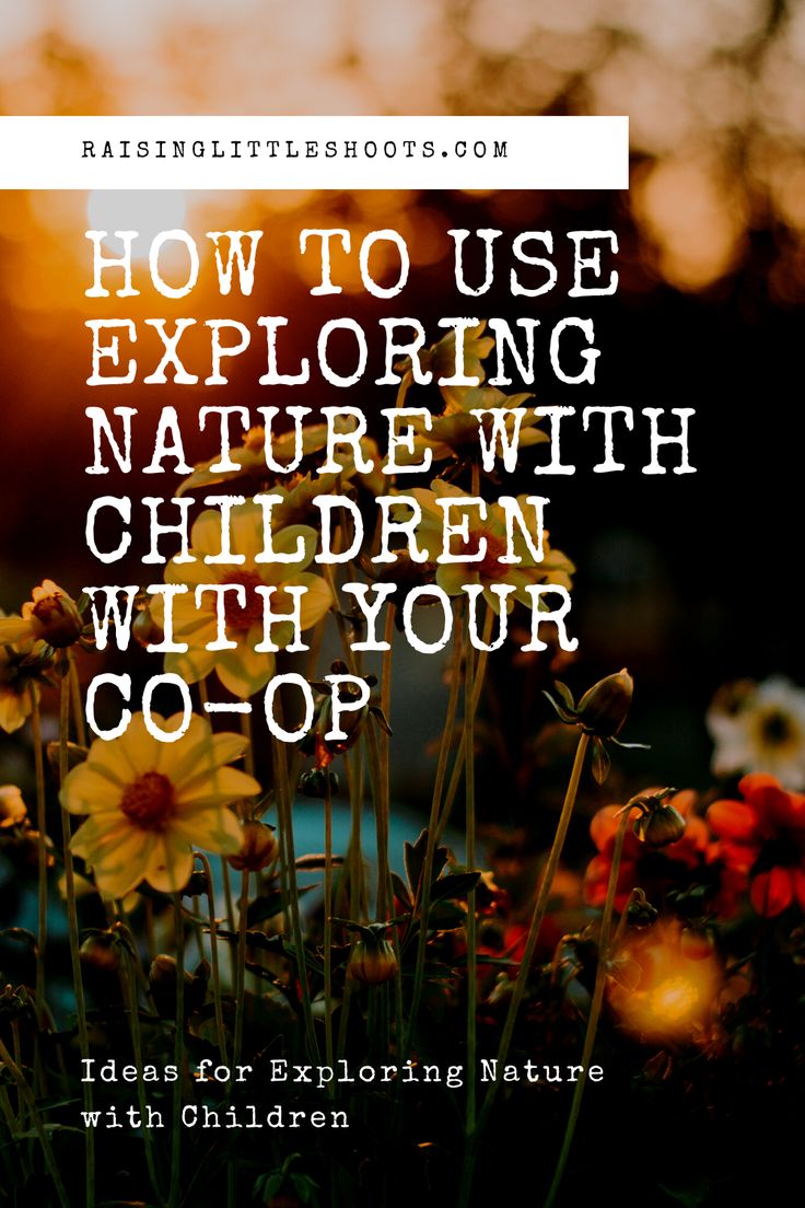 flowers with the words how to use exploring nature with children