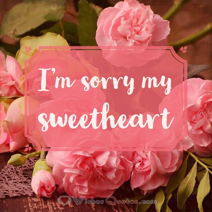 pink flowers with the words i'm sorry my sweetheart